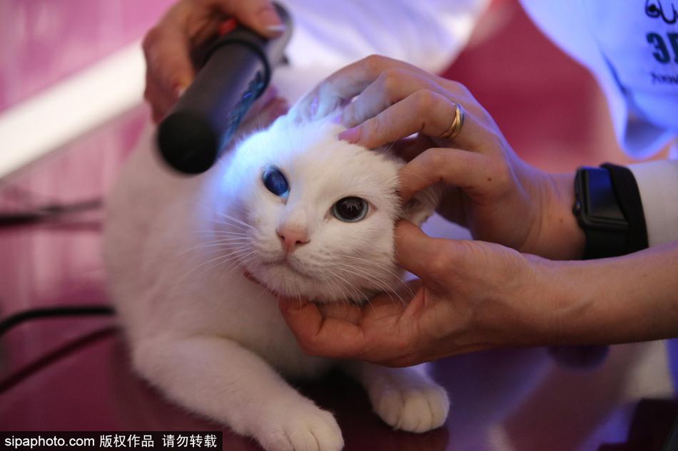 媒體人：林葳已到隊訓(xùn)練一段時間，并與隊友團(tuán)建加深友誼