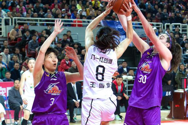 勇敢的哈克好玩嗎 勇敢的哈克玩法簡介
