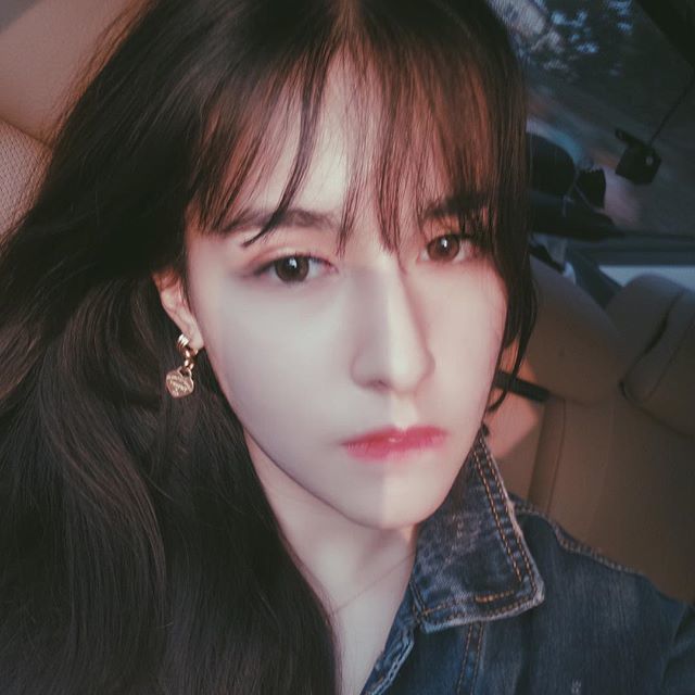 泰拉瑞亞豬龍有什么特點