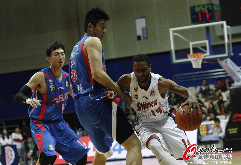 二重螺旋扶疏強度