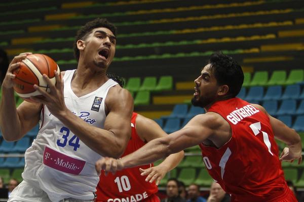 憤怒的小鳥：歸來官網在哪下載 最新官方下載安裝地址