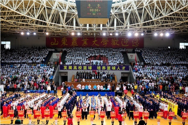 《無主之地 4》亞蒙輸出流裝備終極指南 鍛造騎士的元素狂歡