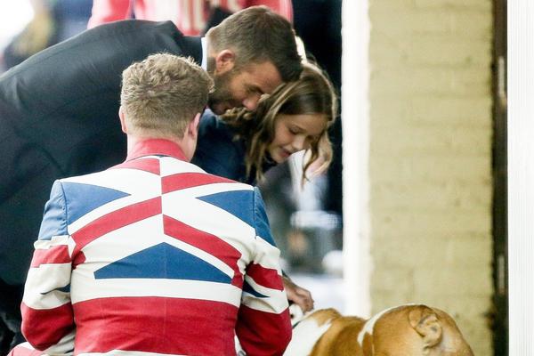 安妮：最后的希望官網(wǎng)在哪下載 最新官方下載安裝地址