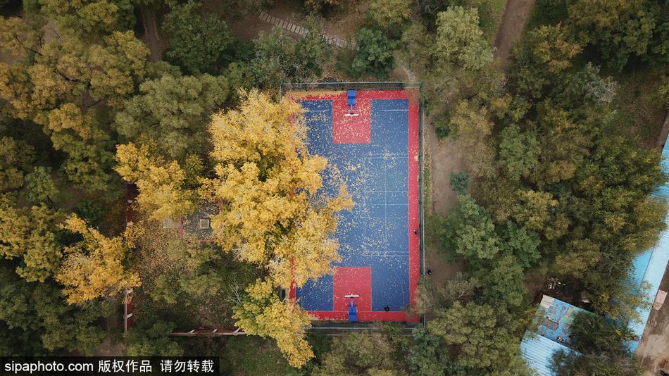 星露谷物語中克林特有什么用