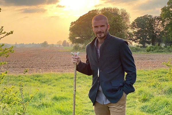 迪尼：利物浦英超衛(wèi)冕幾乎不可阻擋，像當年泰森橫掃拳壇所向披靡