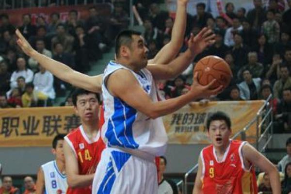 新月同行凡爾納配隊陣容推薦