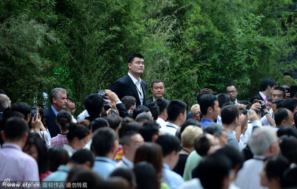 星空体彩官网app官方网站2025最新版