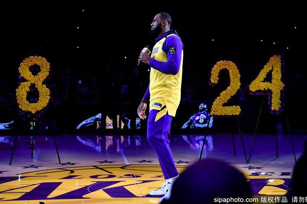 我的世界刷竹子機(jī)制作教程