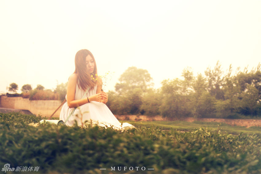 崩壞星穹鐵道2.5飛霄陣容搭配建議